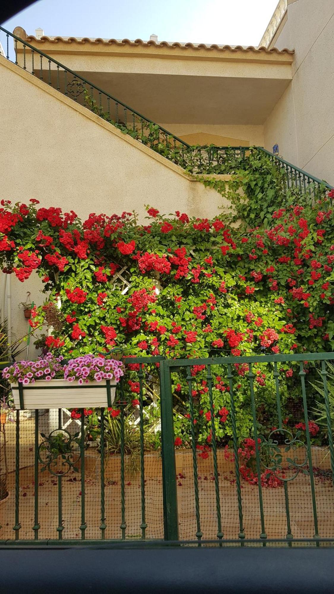 Apartamento Montegolf Con Terraza Privada Los Dolses Extérieur photo